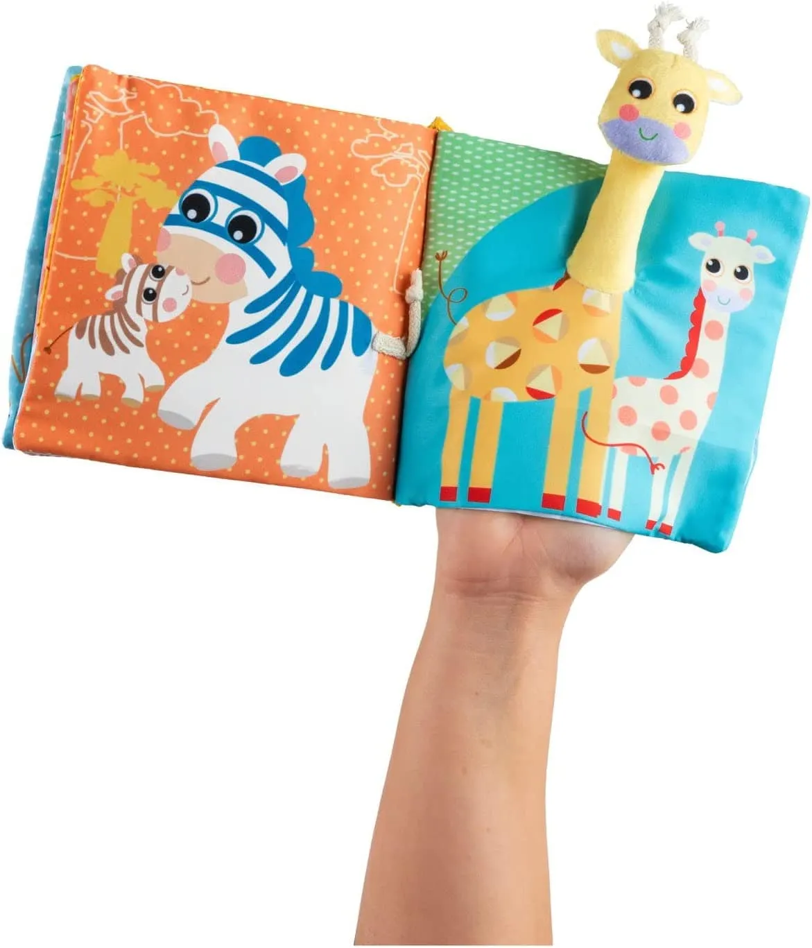 ANIMAL BOOK