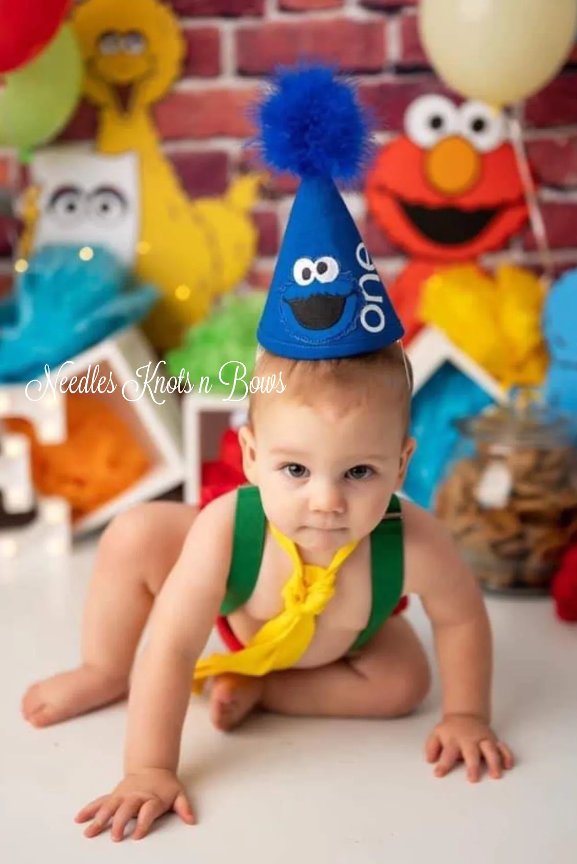 Boys 1st Birthday Outfit, Sesame Street Cake Smash & Birthday Outfit