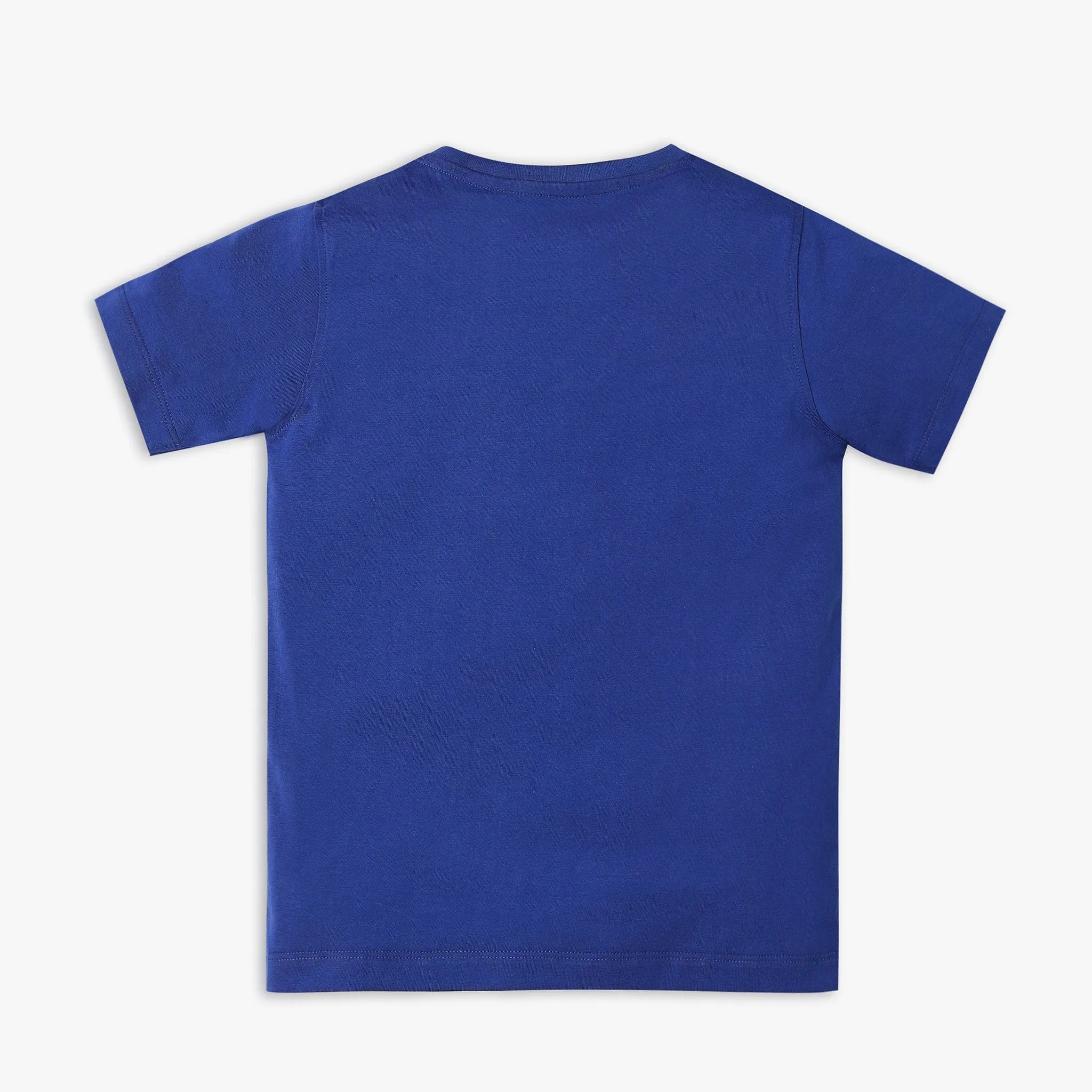 Boy's Regular Fit Graphic T-Shirt