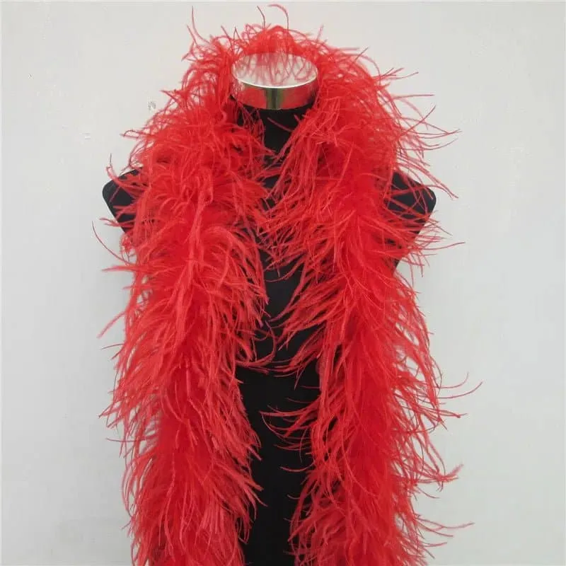 Natural Ostrich Feather Boa - 2 Meter Length Boa for Party, Dance, Stage Performance