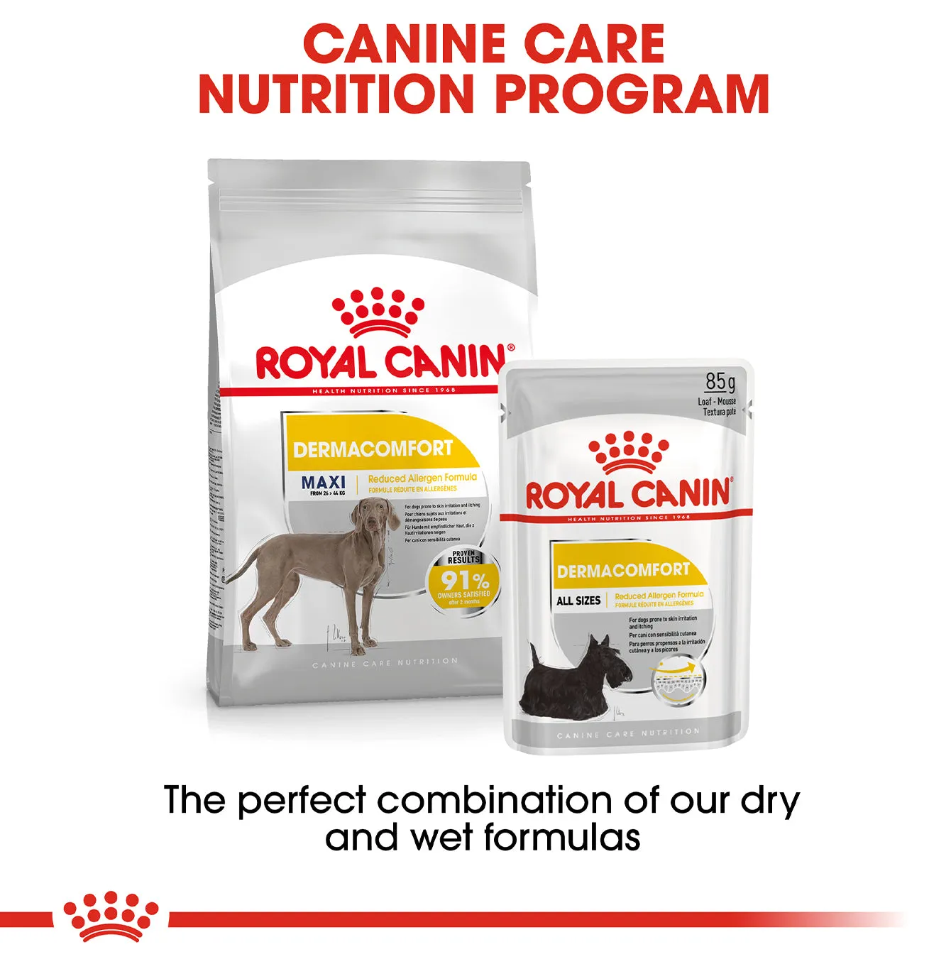 Royal Canin Maxi Adult Derma Comfort Dog Food 10KG