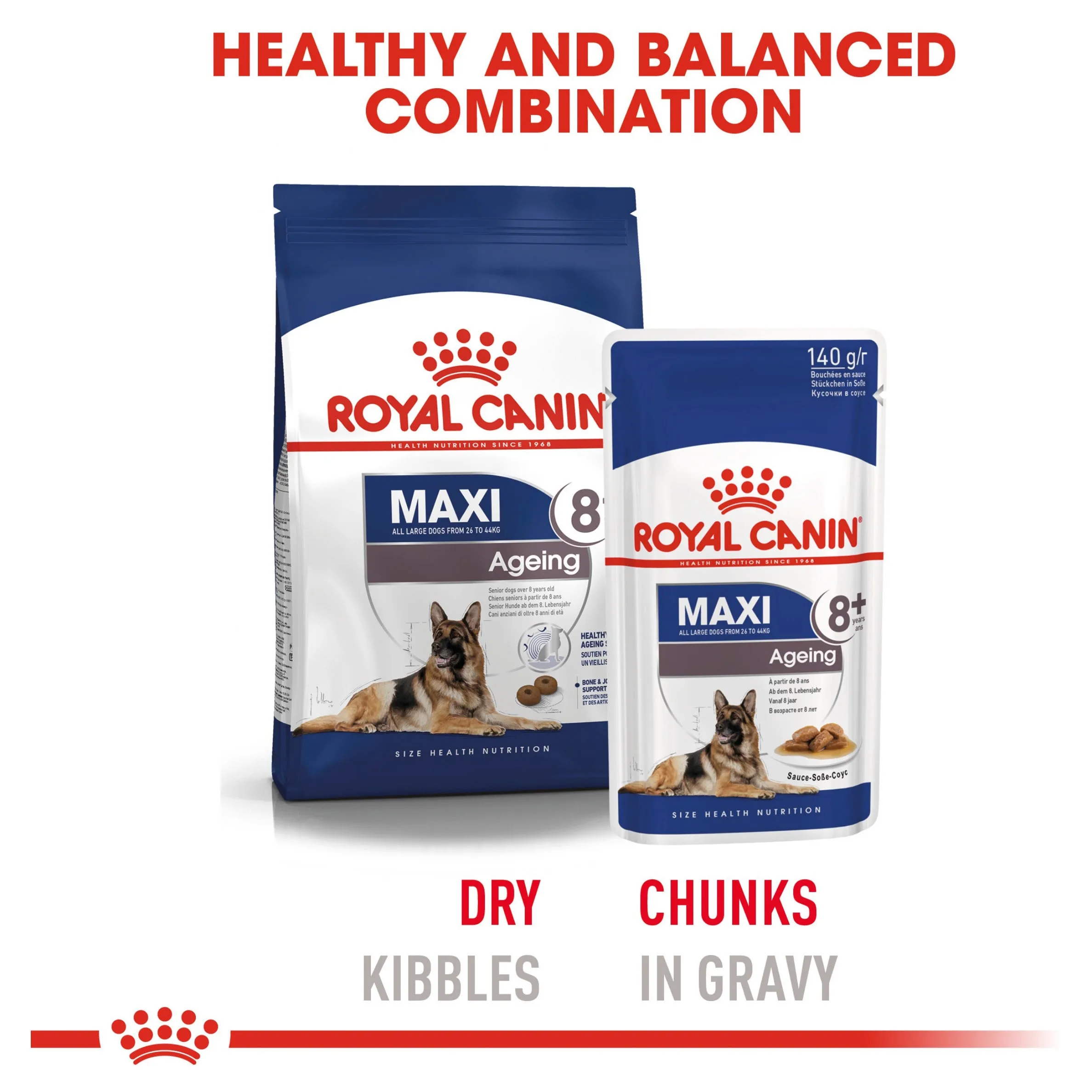 Royal Canin Maxi Ageing 8  Dry Dog Food 15kg