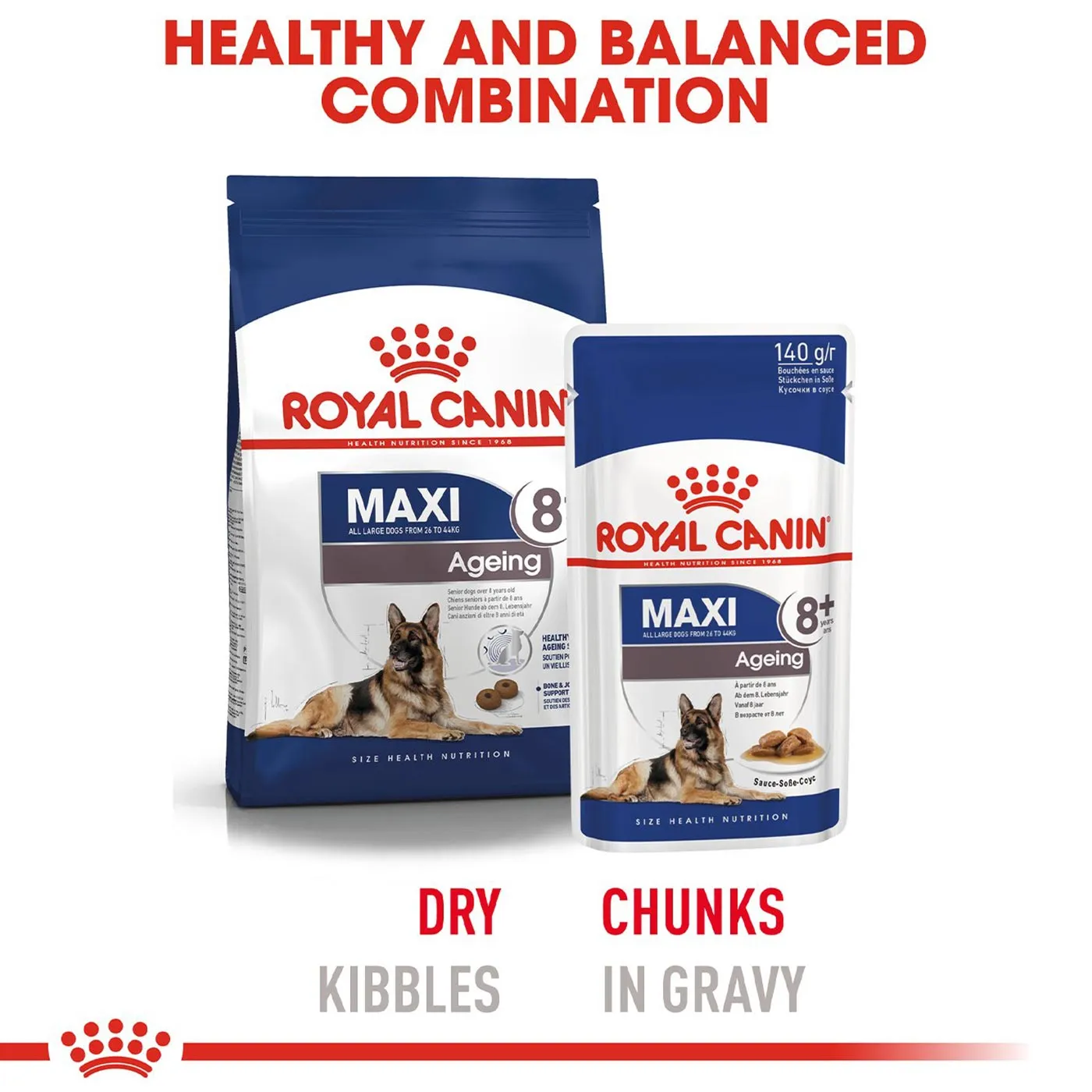 Royal Canin Maxi Ageing 8  Wet Dog Food (Case of 10)