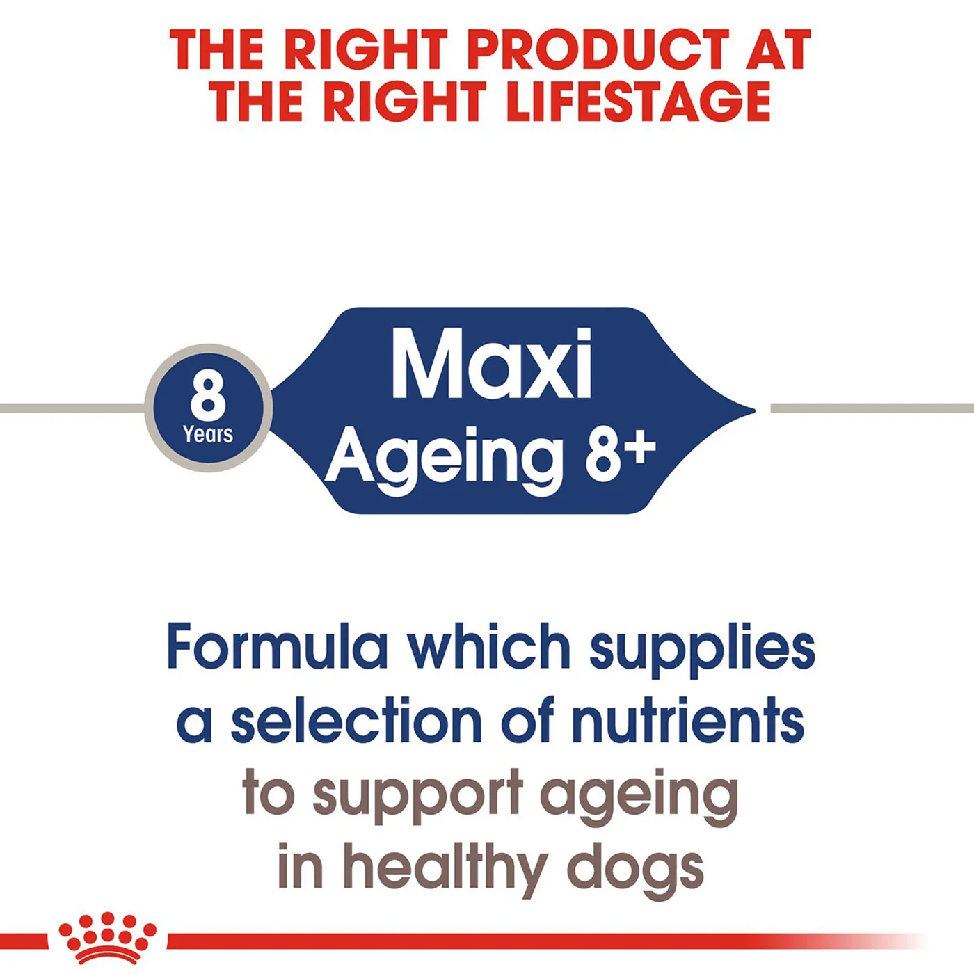 Royal Canin Maxi Ageing 8  Wet Dog Food (Case of 10)