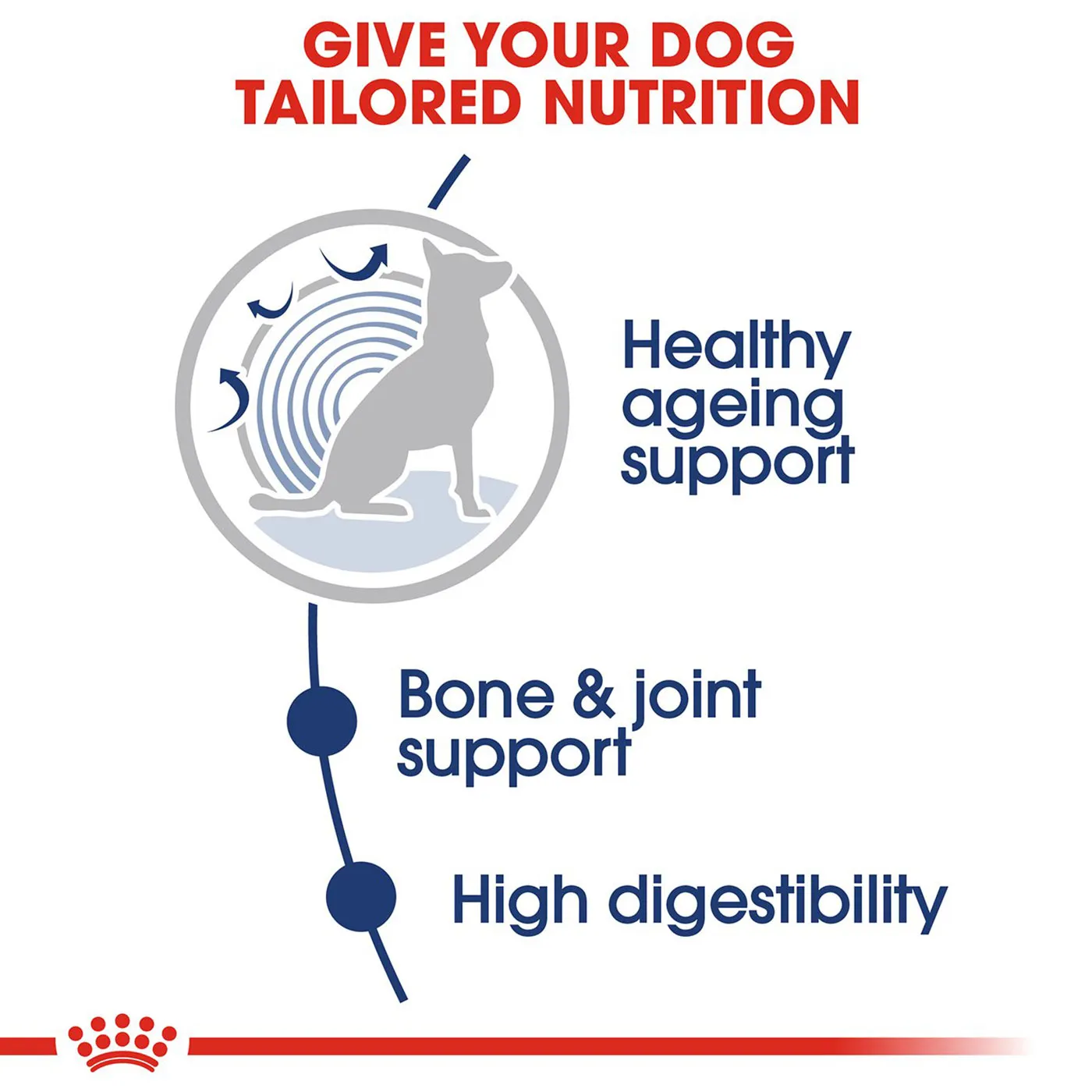 Royal Canin Maxi Ageing 8  Wet Dog Food (Case of 10)